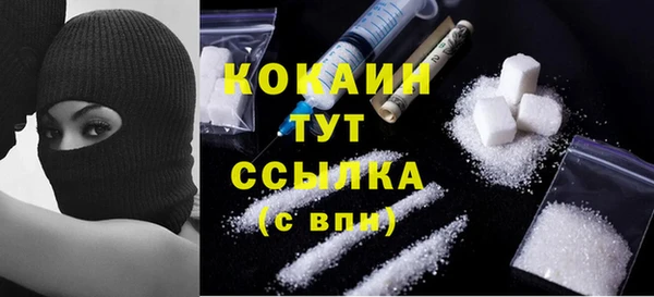 тгк Алзамай