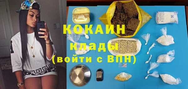 тгк Алзамай