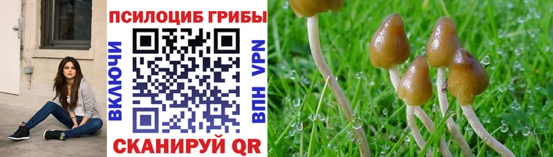 Псилоцибиновые грибы MAGIC MUSHROOMS  закладки  Омутнинск 